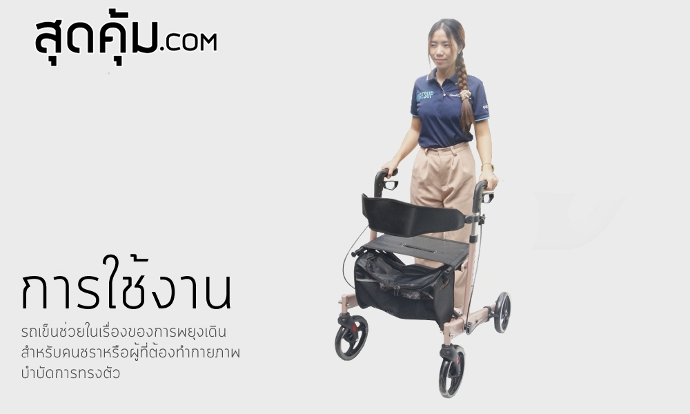 รถเข็นช่วยเดิน พยุงเดิน ผู้สูงอายุ คนชรา ผู้ป่วย Rollator รุ่น BT-54-Pinkgold